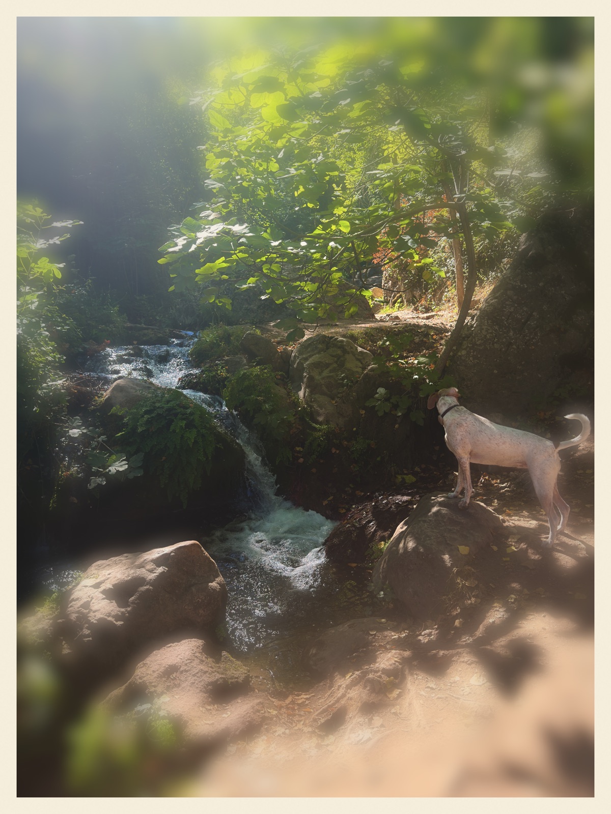 Photograph exported from Jive35